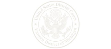 Ibrahim Law Global Immigration Law - Leading Federal Immigration Lawsuits in Palos Hills IL - Eastern District of Michigan logo